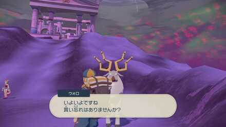 ウォロからアイテムを買う