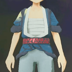 カブいた着物 ドンカラス画像