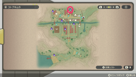 ポケモンアルセウスのともしび2マップ