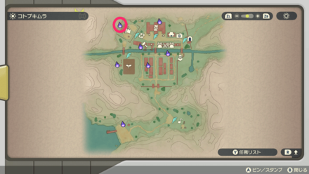 ポケモンアルセウスのともしび3マップ