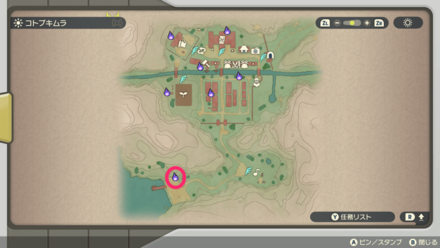 ポケモンアルセウスのともしび7マップ