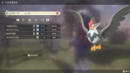 ムクホークがおすすめ