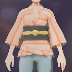 柄付き道中着 横縞画像