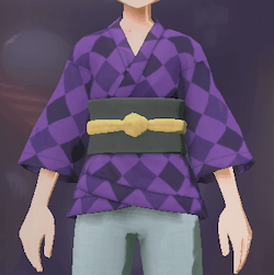 柄付き道中着 道化画像