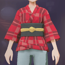 柄付き道中着 格子画像