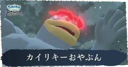 カイリキーおやぶん