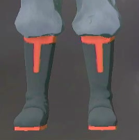 コンゴウの靴画像