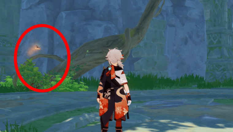 近くに蝶々がいる