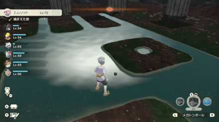 捕獲可能になったエムリット