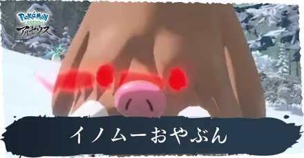 イノムーおやぶん