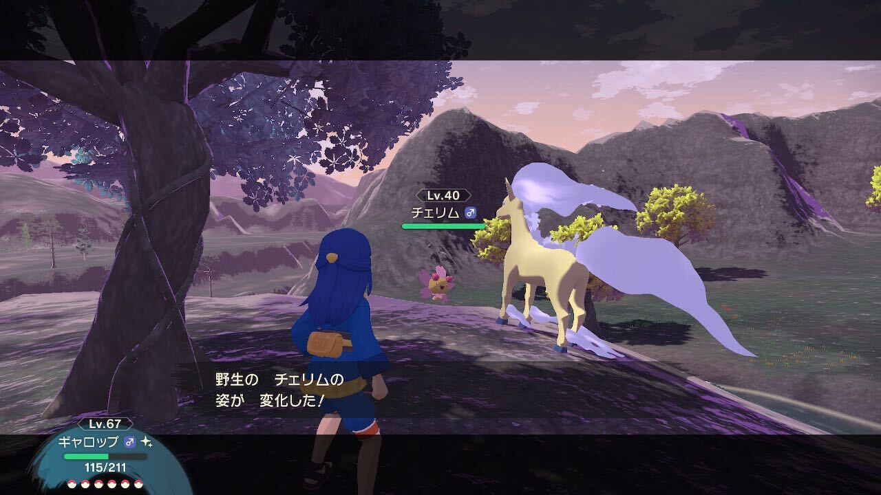 チェリムは時間や天気によって姿が変わる