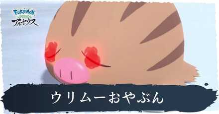 ウリムーおやぶん