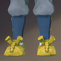 調査隊草鞋画像