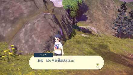 ビッパを倒さないと