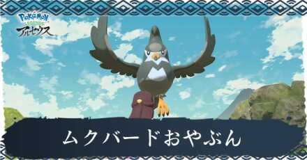 ムクバードおやぶん