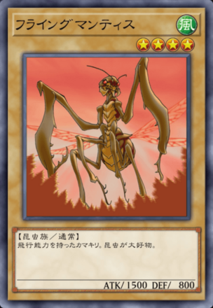 フライングマンティスの画像