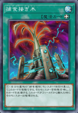 捕食接ぎ木画像