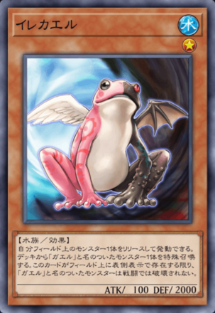 イレカエルの画像