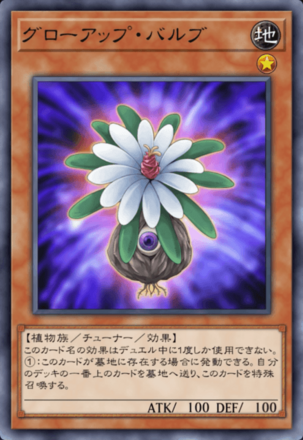 グローアップ・バルブ画像