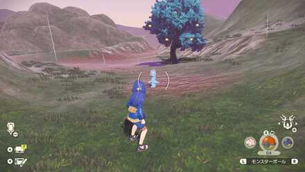 ワンリキーの出現場所