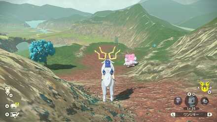 オヤブンハピナスの出現場所