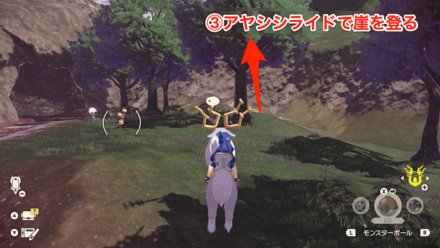 オヤブンハピナスまでの行き方③