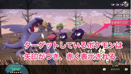 ターゲットしているポケモンは矢印がつく