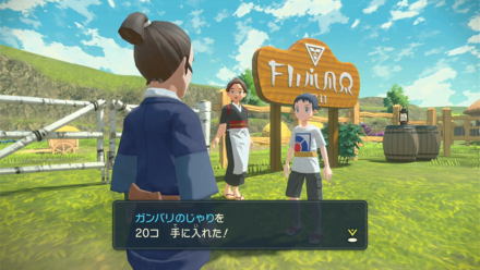 ガンバリアイテム