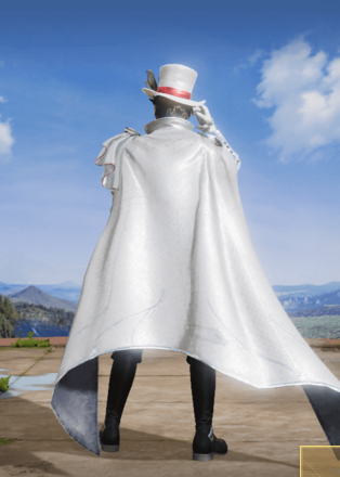 約束の赤い花画像