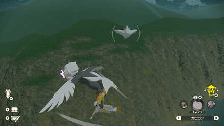 飛んでるトゲキッスの場所