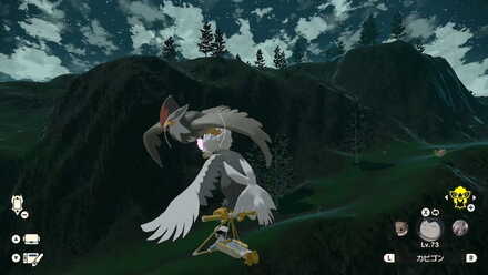 飛んでるムクホークの場所