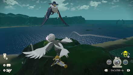 飛んでるドンカラスの場所