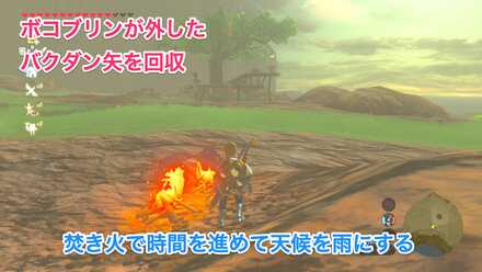 ドクロ池北のボコブリン