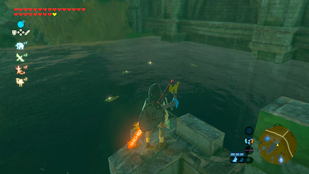 ハイラルバスの場所池の北端