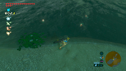 ガンバリバスの場所池の北側