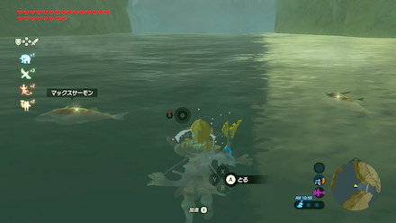 マックスサーモンの場所