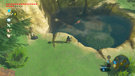 マックスサーモンの場所