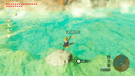 ポカポカマスの場所湖の中部②