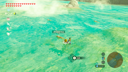 ポカポカマスの場所湖の中部①