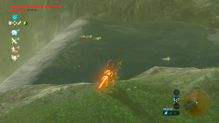 ツルギゴイの場所