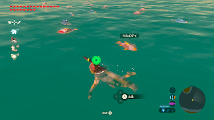 ツルギダイの場所