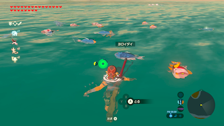 ヨロイダイの場所