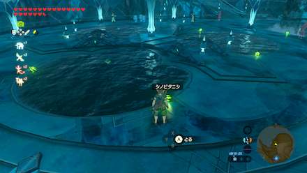 シノビタニシの場所