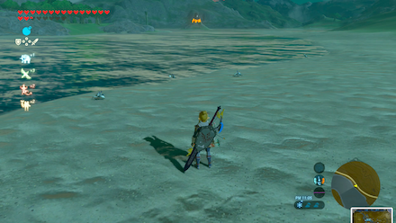 ガンバリガニの場所