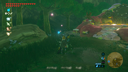 ガンバリガニの場所