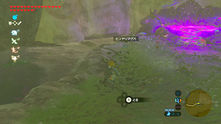 ヒンヤリアゲハの場所