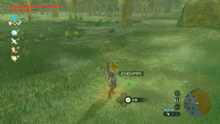 ビリビリアゲハの場所