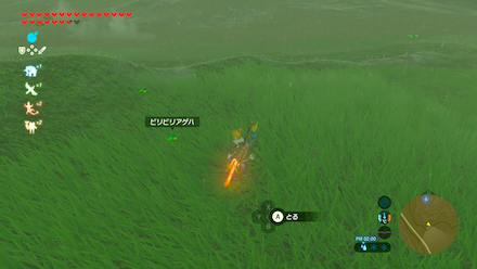 ビリビリアゲハの場所