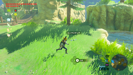 ヒンヤリヤンマの場所