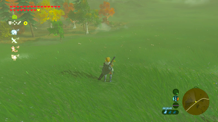 ポカポカヤンマの場所